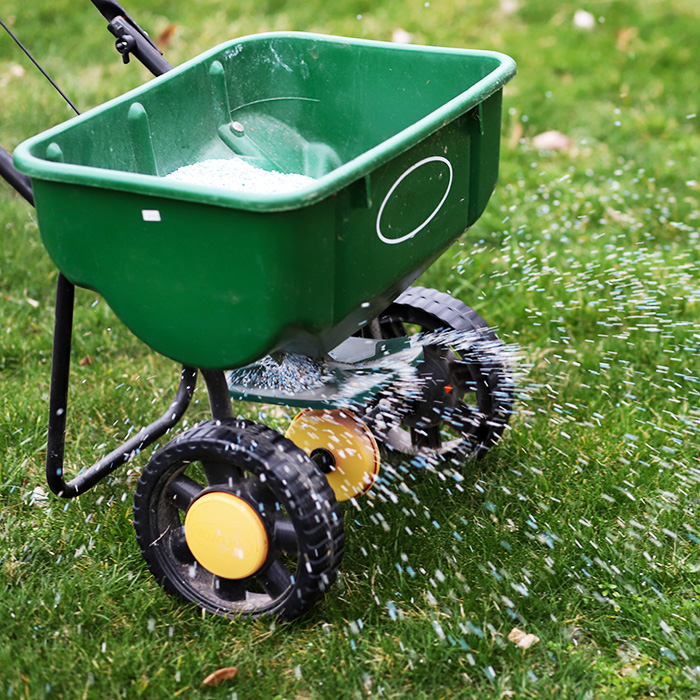 Lawn Fertilization Egypt Creek Landscaping